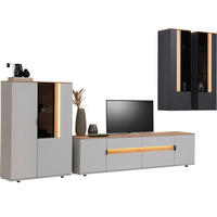 WOHNWAND  in Anthrazit, Eichefarben, Hellgrau 384,4/206/48 cm  - Eichefarben/Anthrazit, Design, Glas/Holz (384,4/206/48cm) - Dieter Knoll