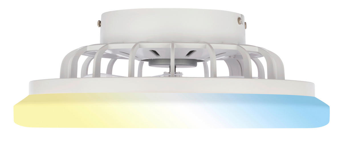 DECKENVENTILATOR 38/14 cm   - Weiß, Design, Kunststoff (38/14cm)