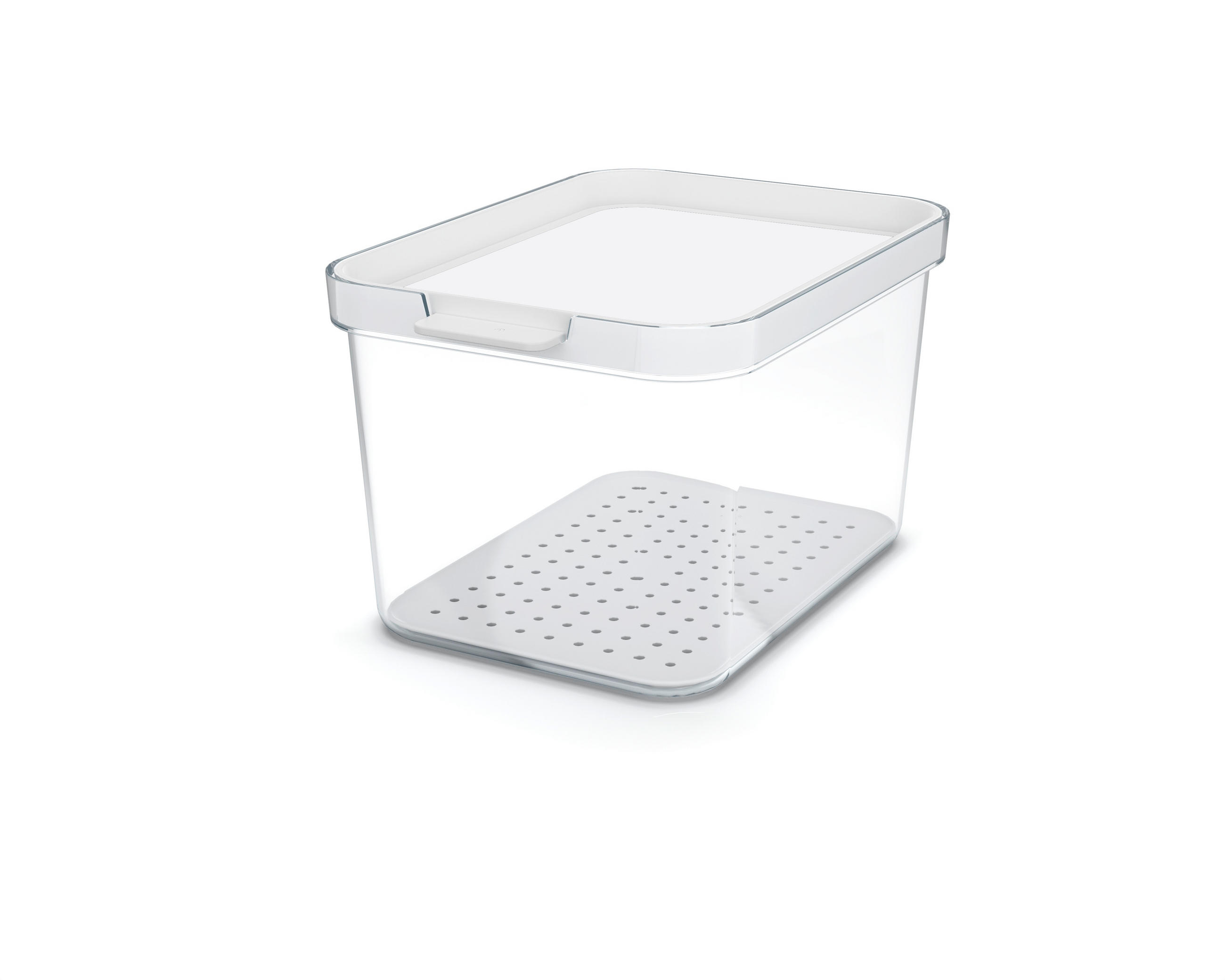 KÜHLSCHRANKBOX CAUMA  - Klar/Weiß, Basics, Kunststoff (19,6/13,6/11,3cm) - Rotho