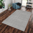 HOCHFLORTEPPICH 80/150 cm Catwalk Silberfarben  - Silberfarben, Basics, Textil (80/150cm) - Novel