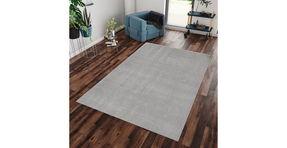 HOCHFLORTEPPICH 80/150 cm Catwalk Silberfarben - Silberfarben, Basics, Textil (80/150cm) - Novel