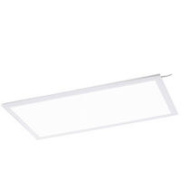 LED-PANEEL 60/30/1,1 cm  - MODERN, Kunststoff/Metall (60/30/1,1cm)