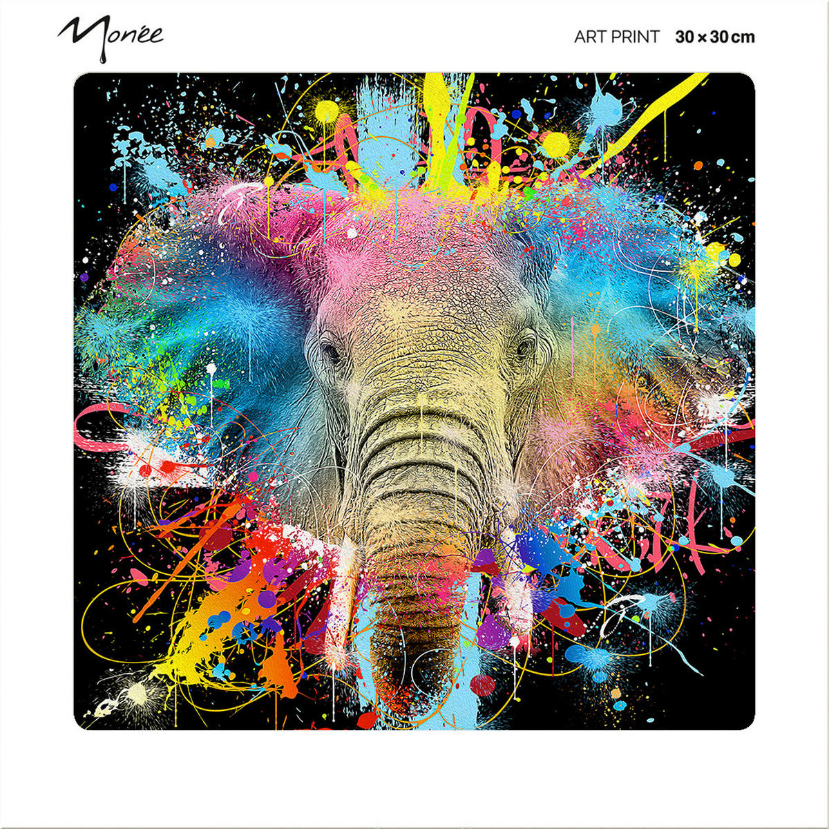 KUNSTDRUCK Tiere 30/30 cm  - Multicolor/Schwarz, Basics, Papier (30/30cm) - Monee