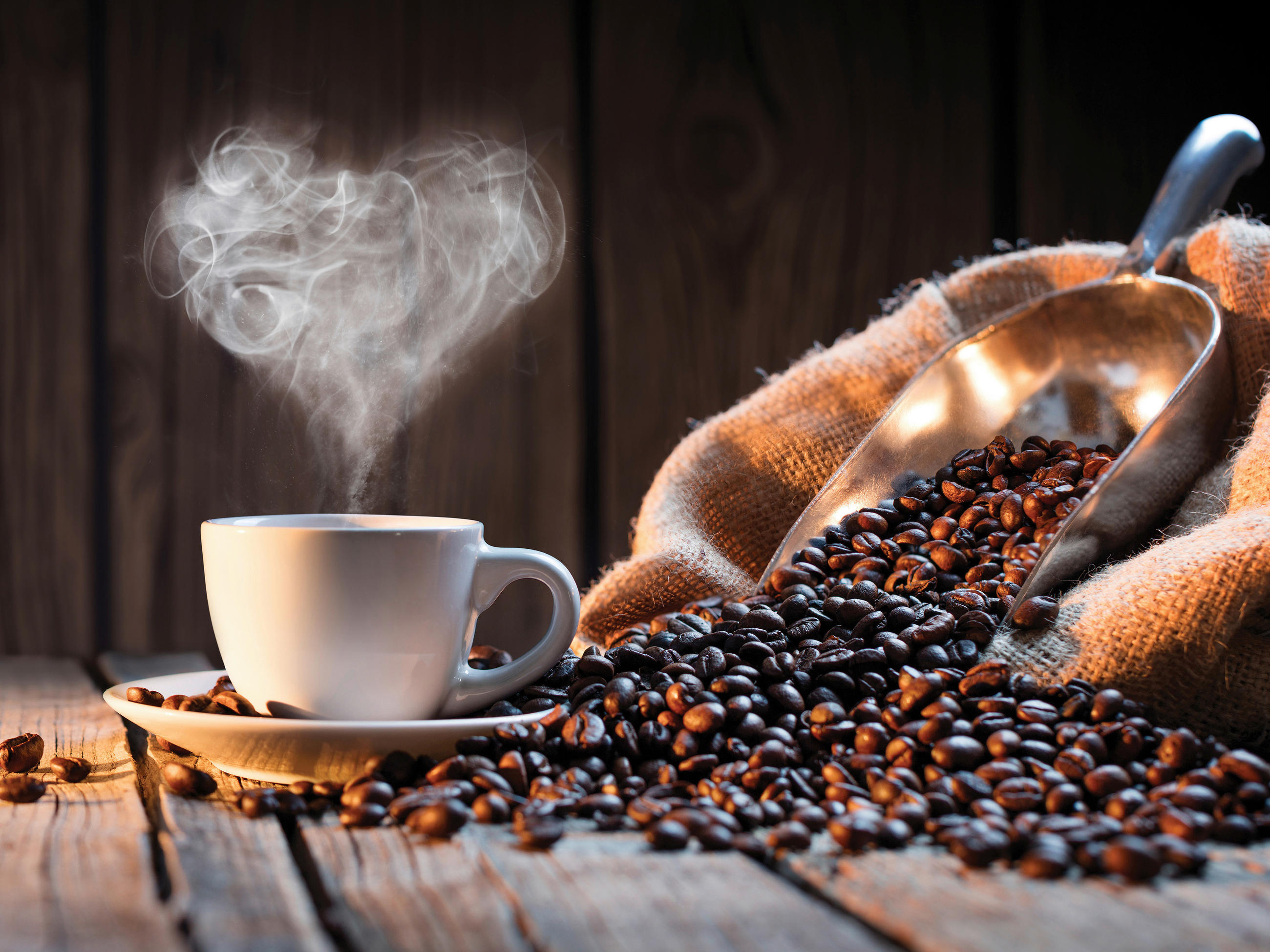 Euroart MALBA NA PLÁTNĚ, káva, 30/40 cm