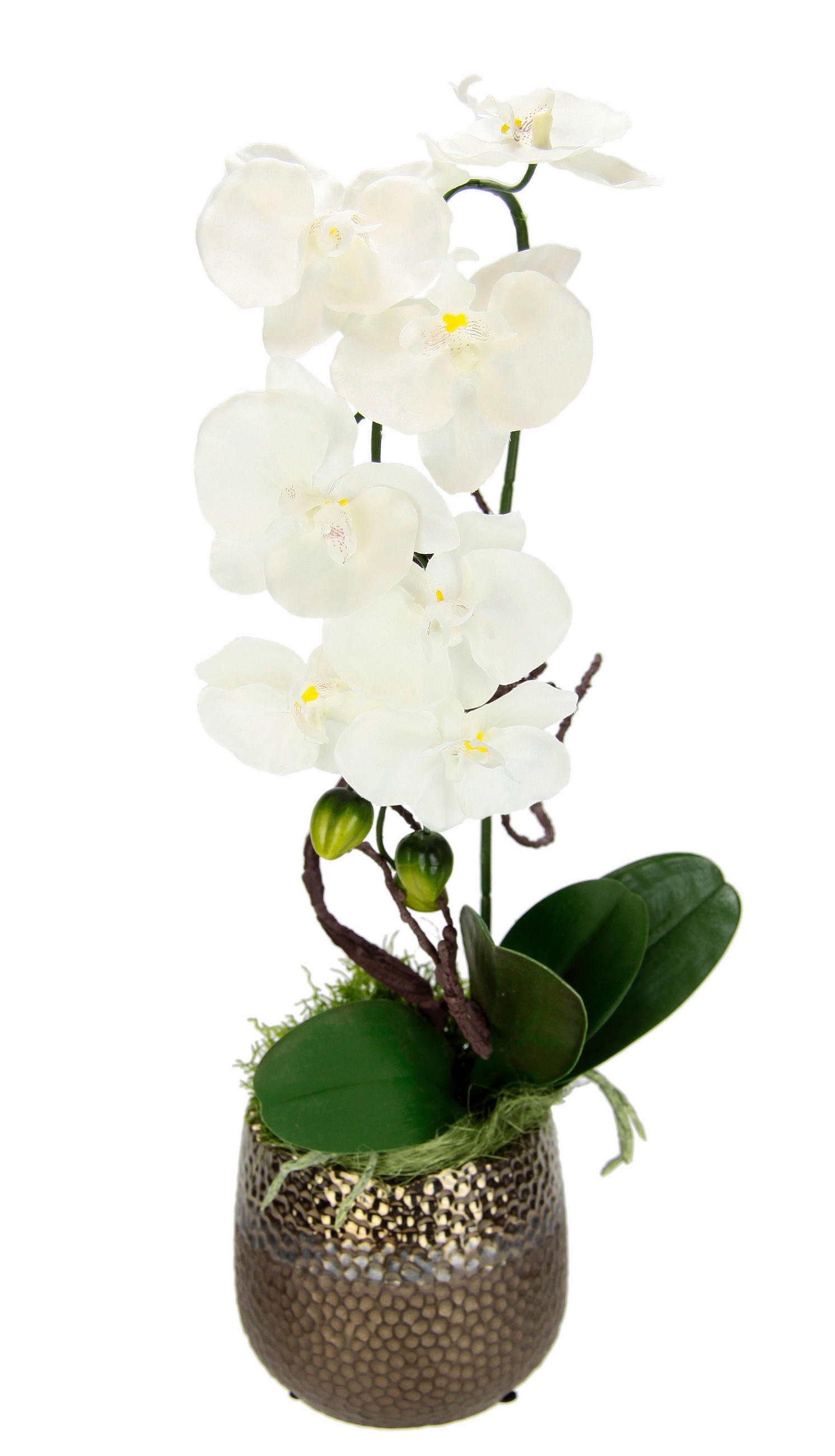 ORCHIDEE  - Braun/Weiß, LIFESTYLE, Keramik/Kunststoff (19/56cm)