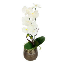 ORCHIDEE  - Braun/Weiß, LIFESTYLE, Keramik/Kunststoff (19/56cm)