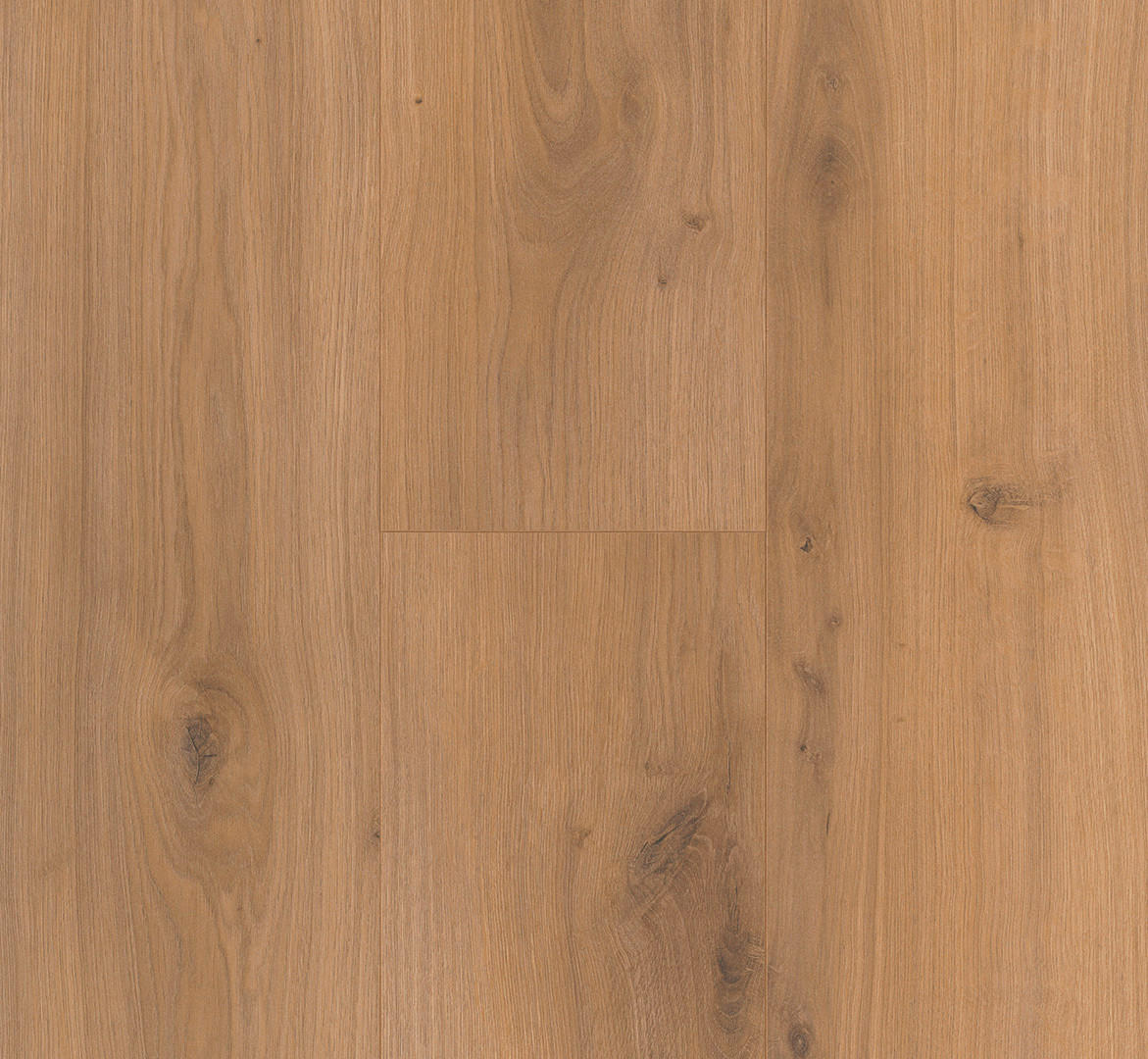 LAMINATBODEN Laminat Basic 400  per  m² - Eichefarben, Basics, Holzwerkstoff (128.5/19.4/0.8cm) - Parador