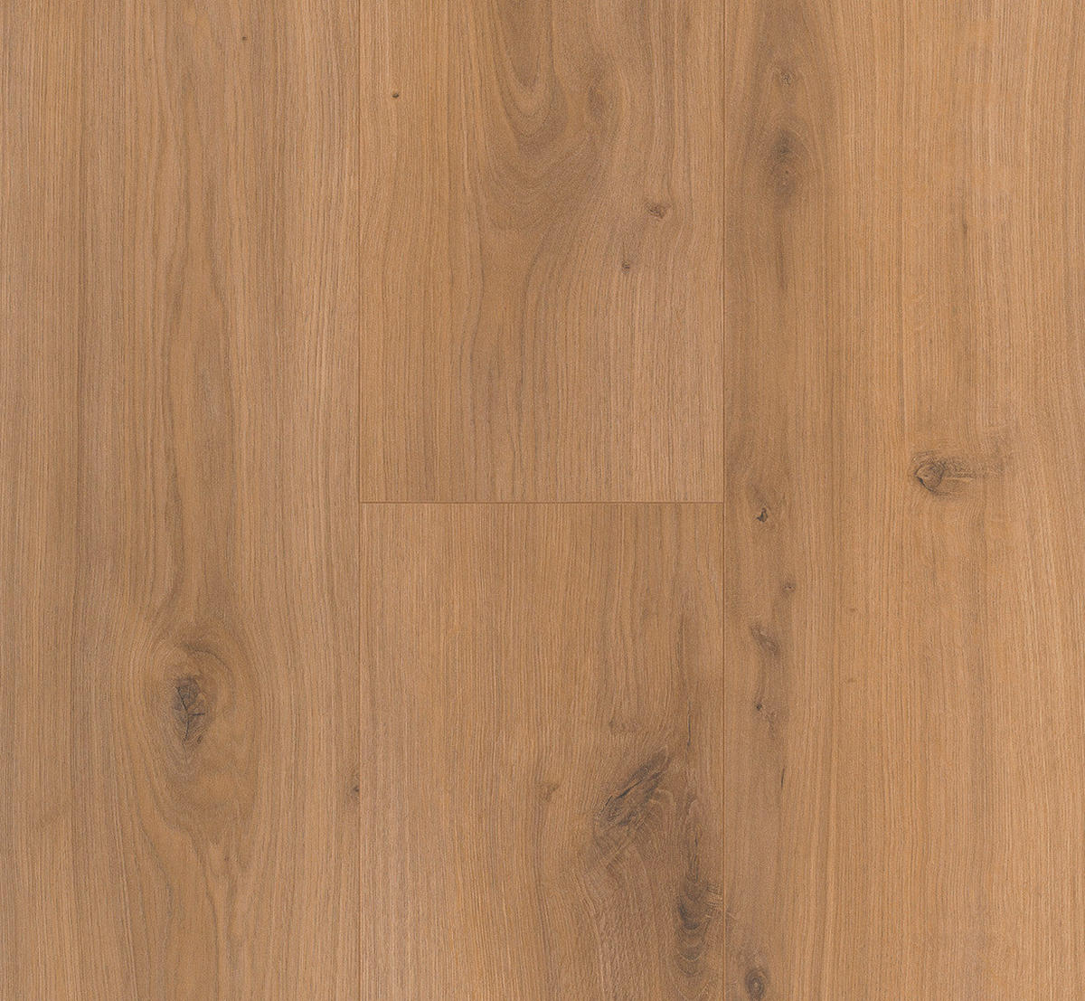 LAMINATBODEN Laminat Basic 400  per  m² - Eichefarben, Basics, Holzwerkstoff (128.5/19.4/0.8cm) - Parador