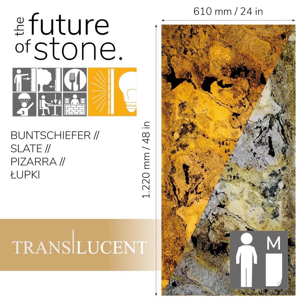 WANDPANEEL Grau, Rot, Schlammfarben, Sandfarben, Beige  - Sandfarben/Schlammfarben, Basics, Kunststoff/Stein (122/61cm)