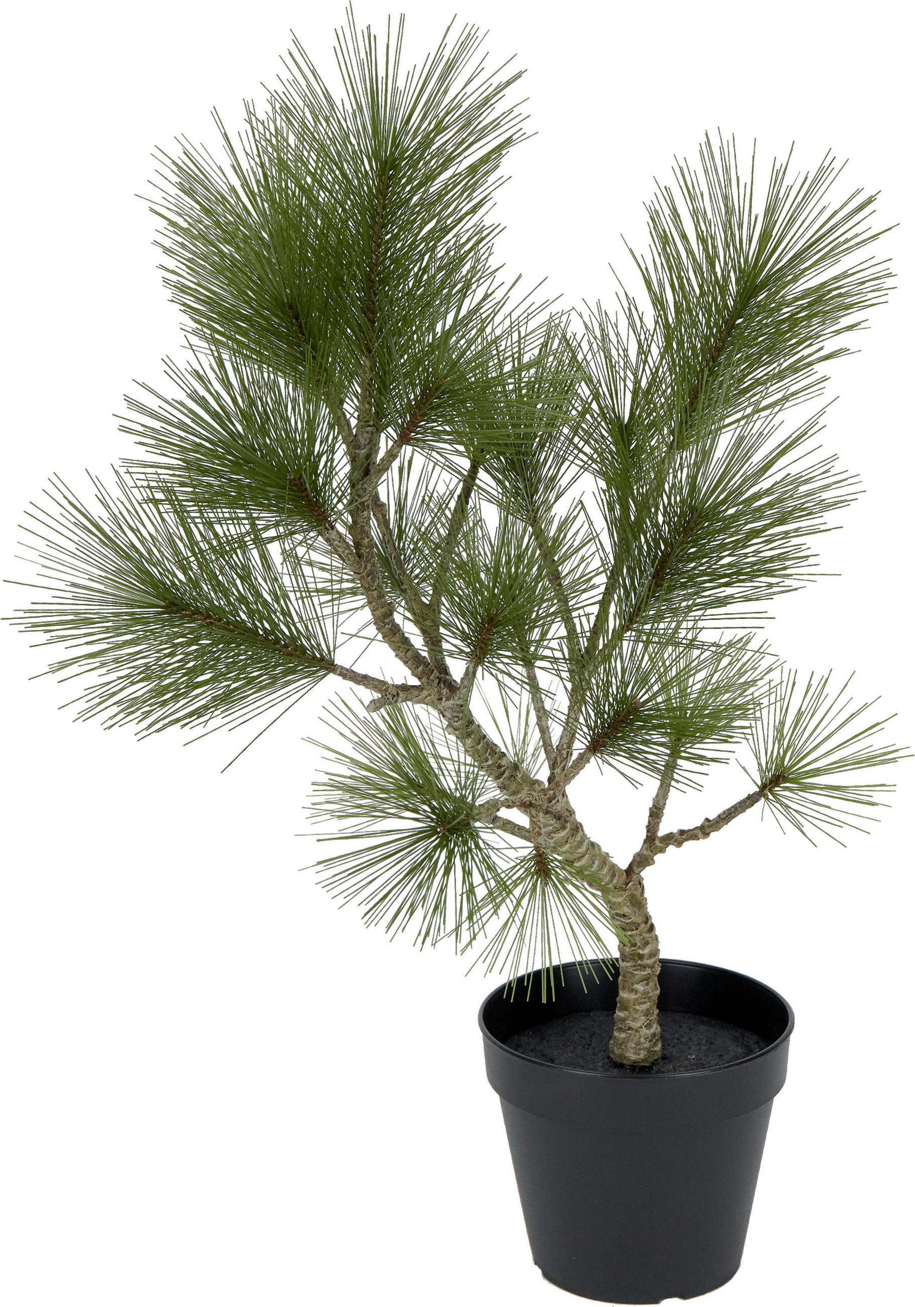 KUNSTPFLANZE - Grün, Basics (ca. 48 cmcm) - X-Mas
