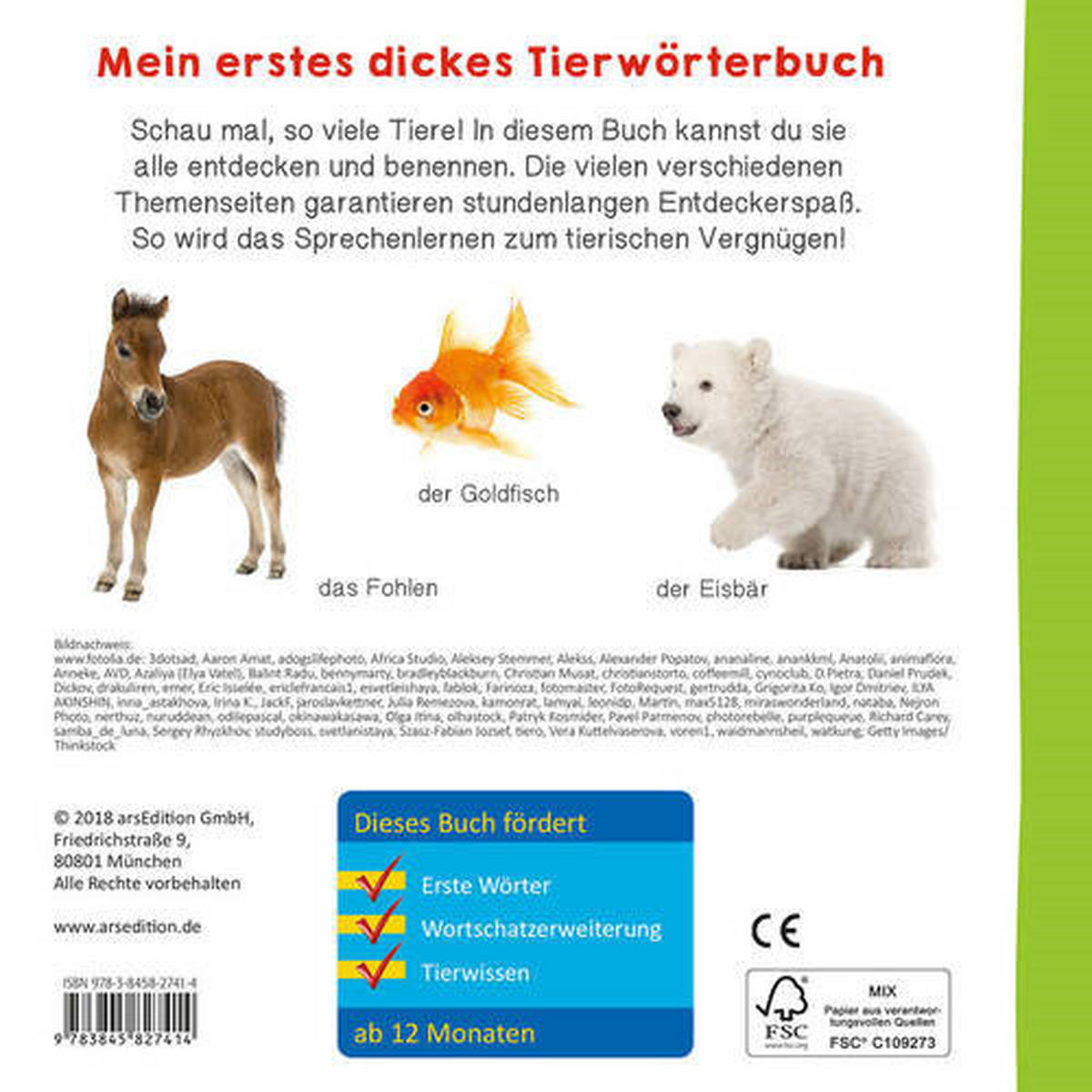 BILDERBUCH - Multicolor, Basics, Karton (16/16cm)