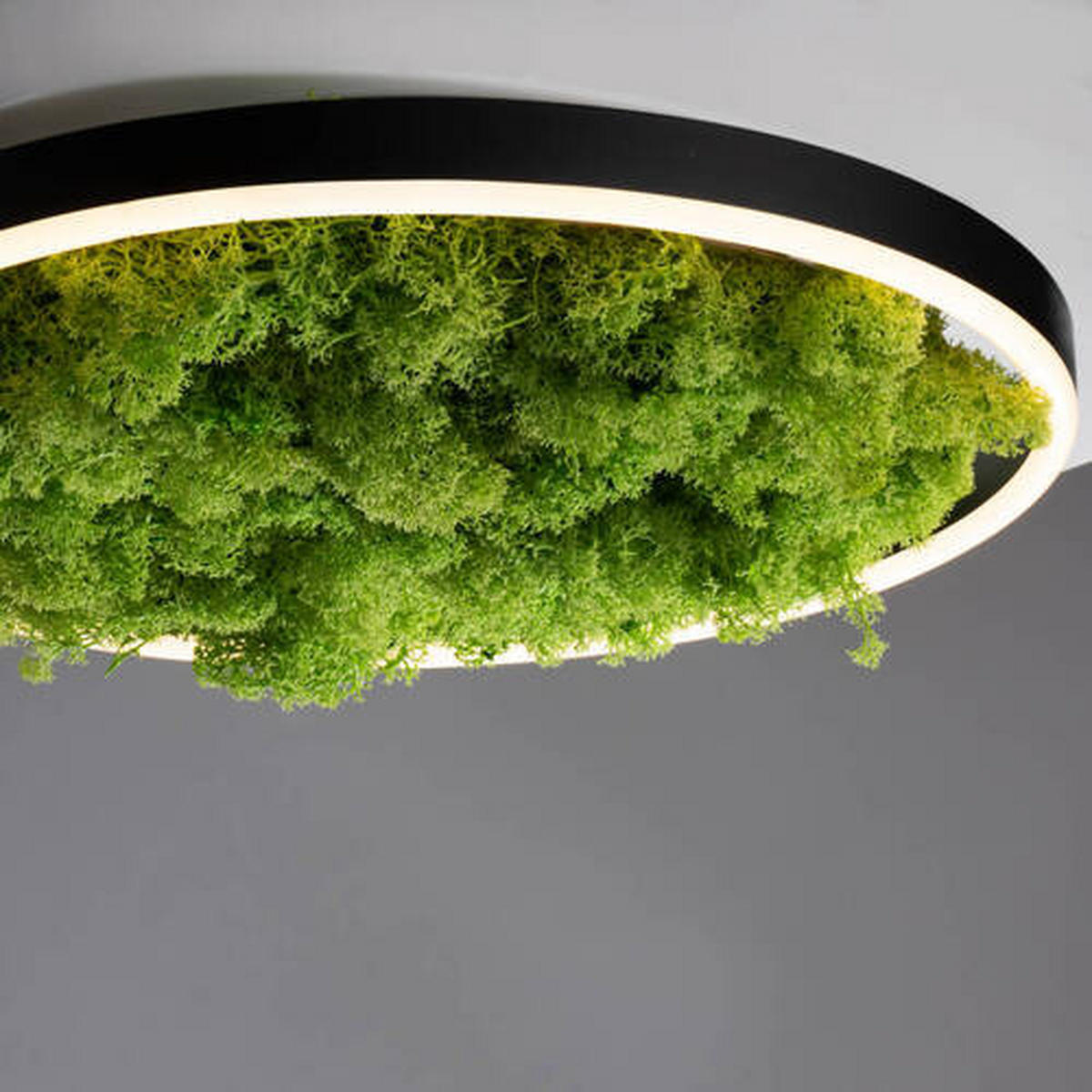 LED-DECKENLEUCHTE Ritus 39,3/39,3/5,3 cm   - Naturfarben, Natur, Naturmaterialien/Kunststoff (39,3/39,3/5,3cm)