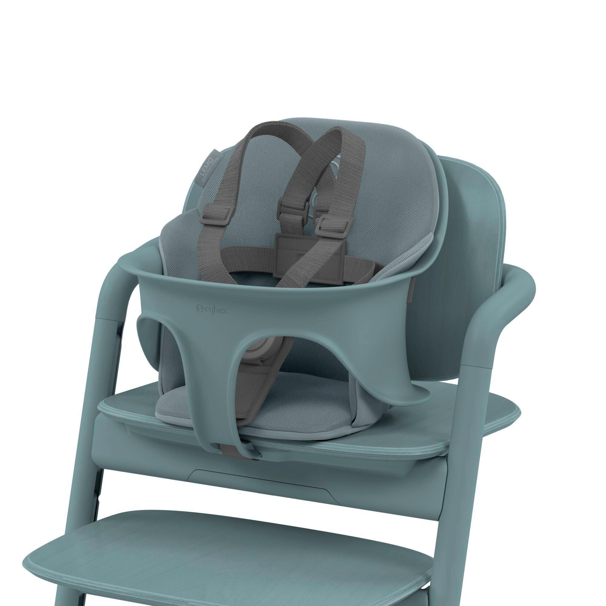 SICHERHEITSGURT - Grau, Basics, Kunststoff/Textil (9/6/20cm) - cybex GOLD