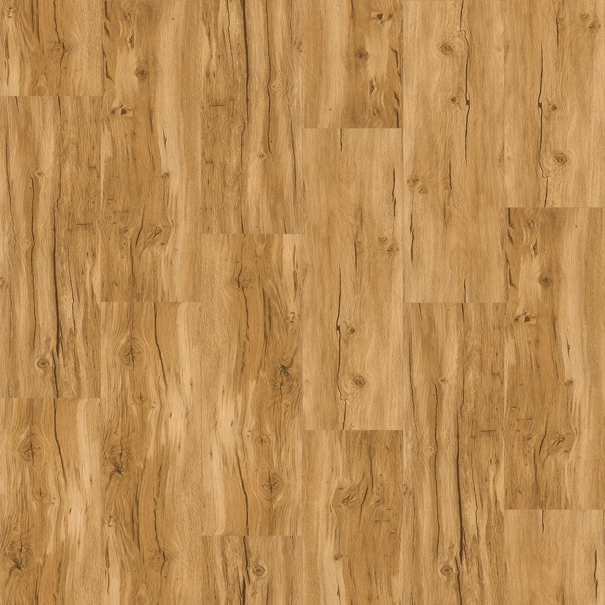 DESIGNBODEN BASIC 5.3 1743003  per  m² - Eichefarben/Gelb, Basics, Kunststoff (120,9/22,5/0,53cm) - Parador