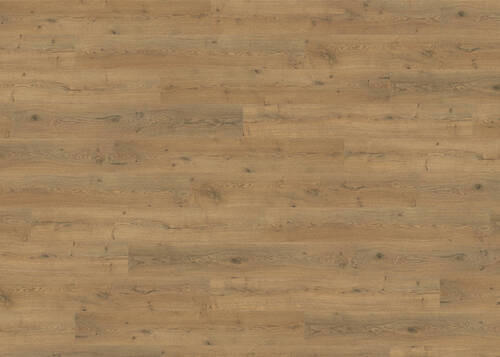LAMINATBODEN Living by HARO Laminat Sonderedition NKL 31  per  m² - Eichefarben, Basics, Holzwerkstoff (19.3/128.2cm) - Living by HARO