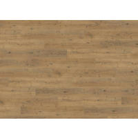 LAMINATBODEN Living by HARO Laminat Sonderedition NKL 31  per  m² - Eichefarben, Basics, Holzwerkstoff (19.3/128.2cm) - Living by HARO