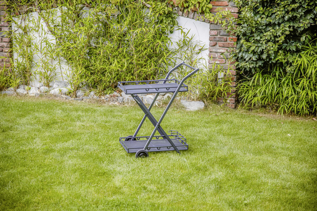 GARTEN-SERVIERWAGEN  - Grau, Basics, Metall (69/54/87cm) - Gardenson