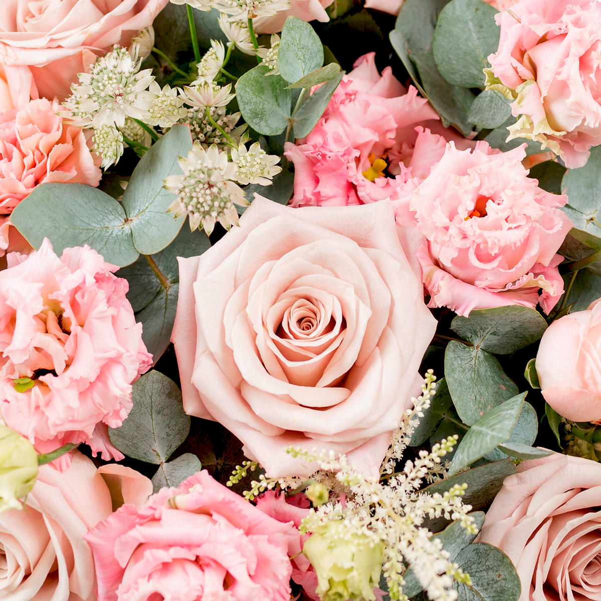 SERVIETTE  33/33 cm  12 Stück  - Rot/Rosa, Basics, Papier (33/33cm) - PPD