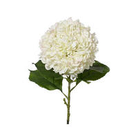 HORTENZIE 106 cm - Basics (106cm)