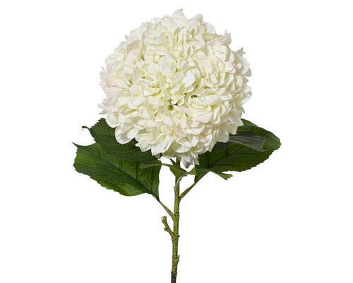 HORTENZIE 106 cm - Basics (106cm)