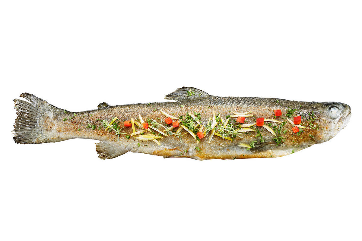 GRIL REŠETKA ZA RIBU - boje oplemenjenog čelika, Basics, metal (36/7,6/7,3cm) - Gefu