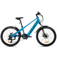 ELEKTROFAHRRAD E-Kompaktrad 24 Zoll  - Hellblau, Basics, Metall (180/70/100cm)