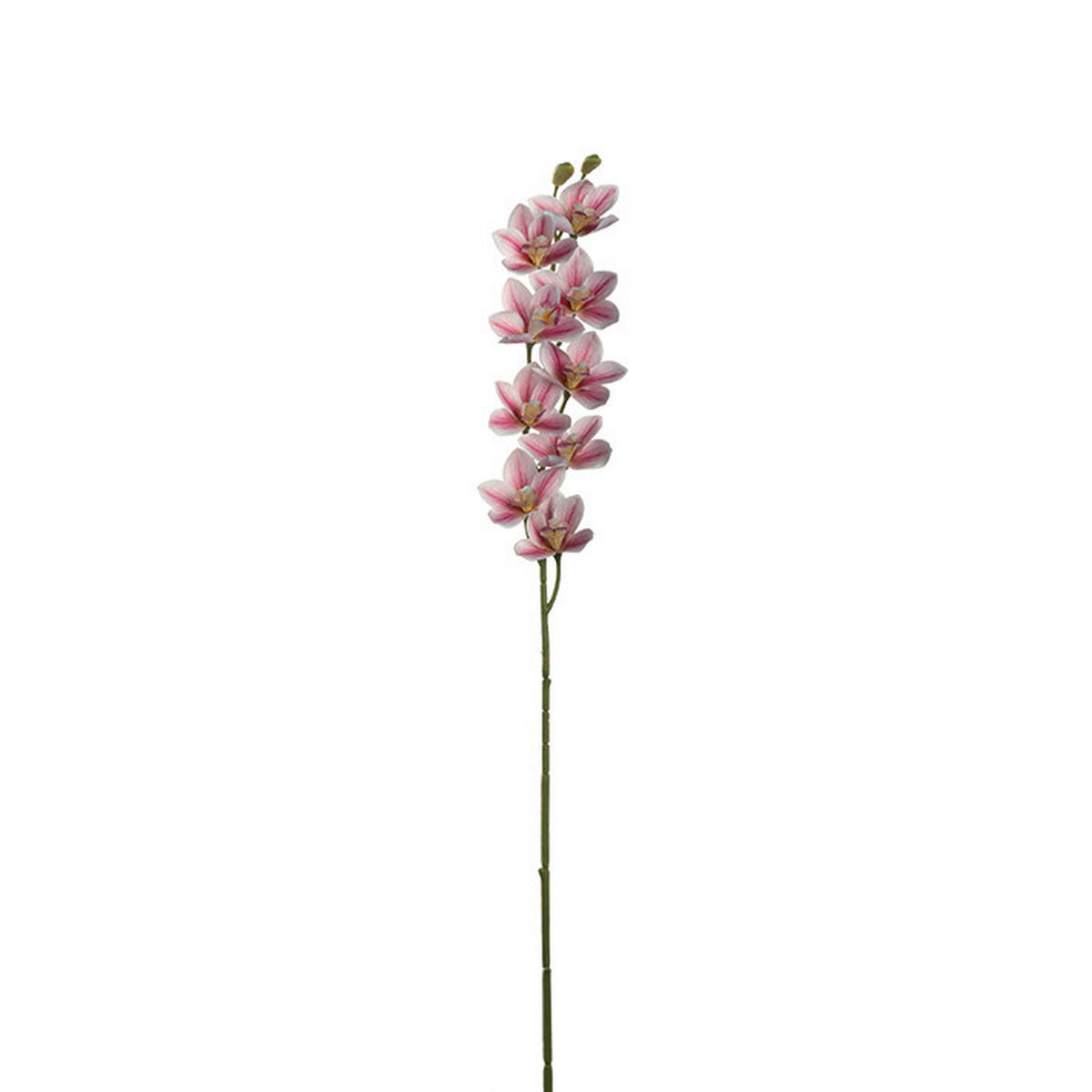 GRANA DEKORATIVNA FIORE  - pink/smeđa, Basics, metal/plastika (3,00/76,00/5,00cm) - Leonardo