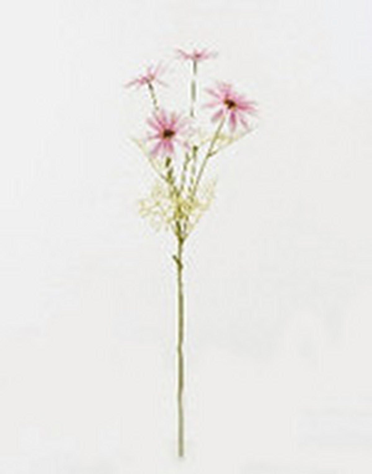 MŰNÖVÉNY - pink/zöld, Basics, műanyag