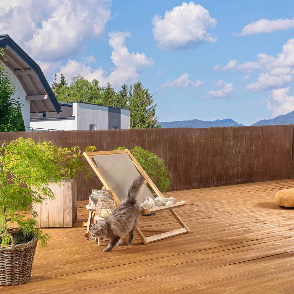 SICHTSCHUTZ - Naturfarben, Basics, Kunststoff (300/150cm)