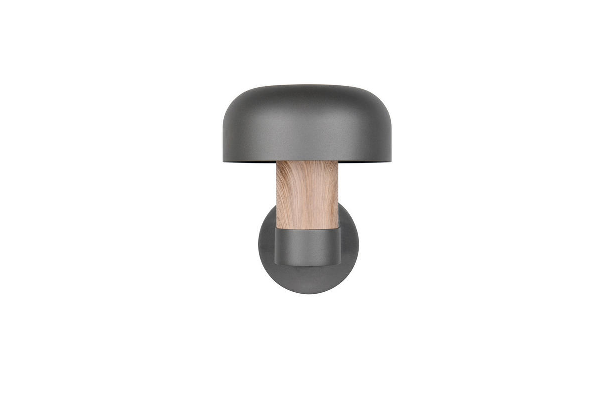 AUSSENWANDLEUCHTE - Anthrazit/Braun, Design, Metall (19/24,5/25cm) - Trio Leuchten
