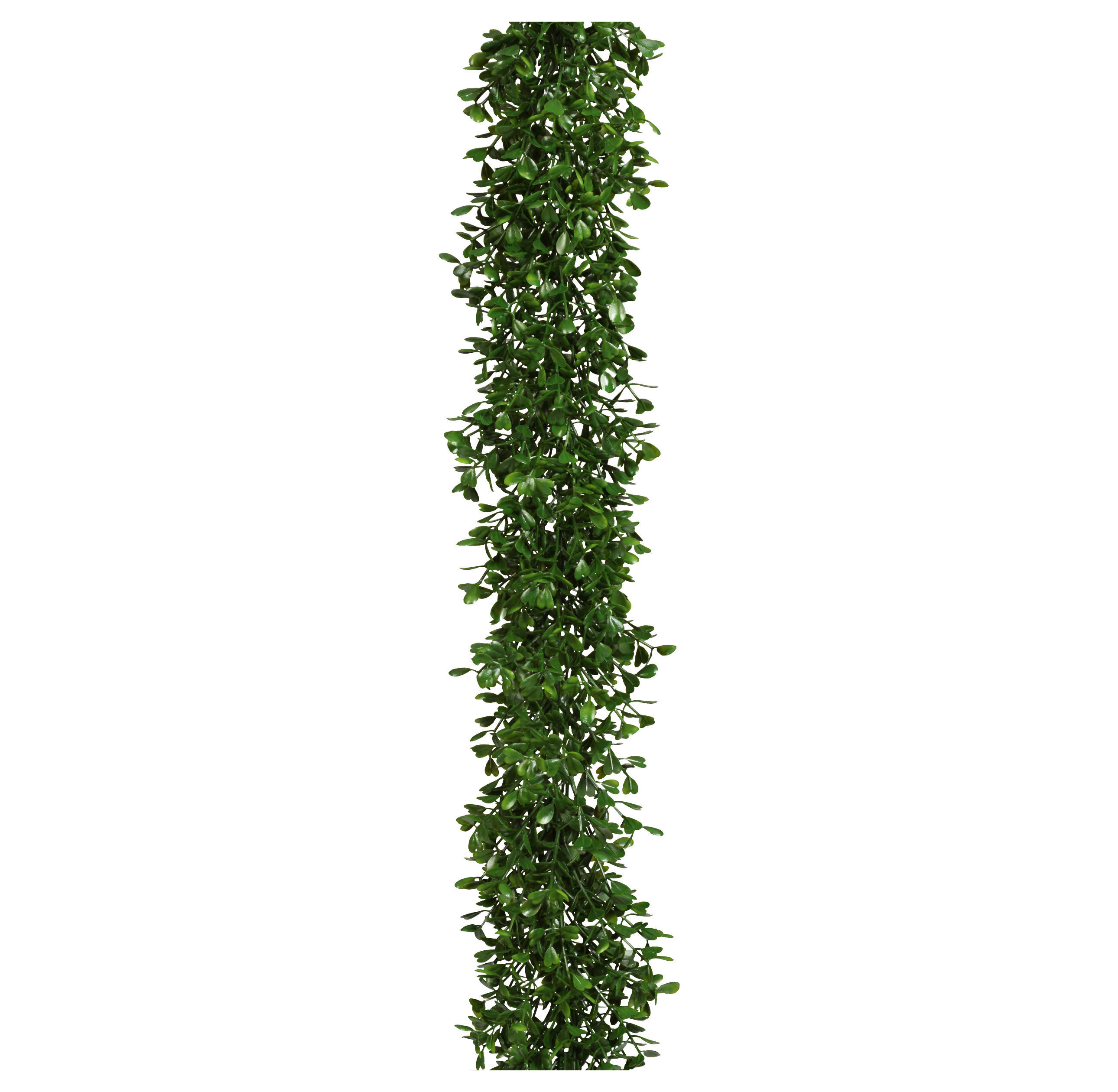 KUNSTPFLANZE Buchsbaum 180 cm  - Grün, Design, Kunststoff (180cm) - P & B