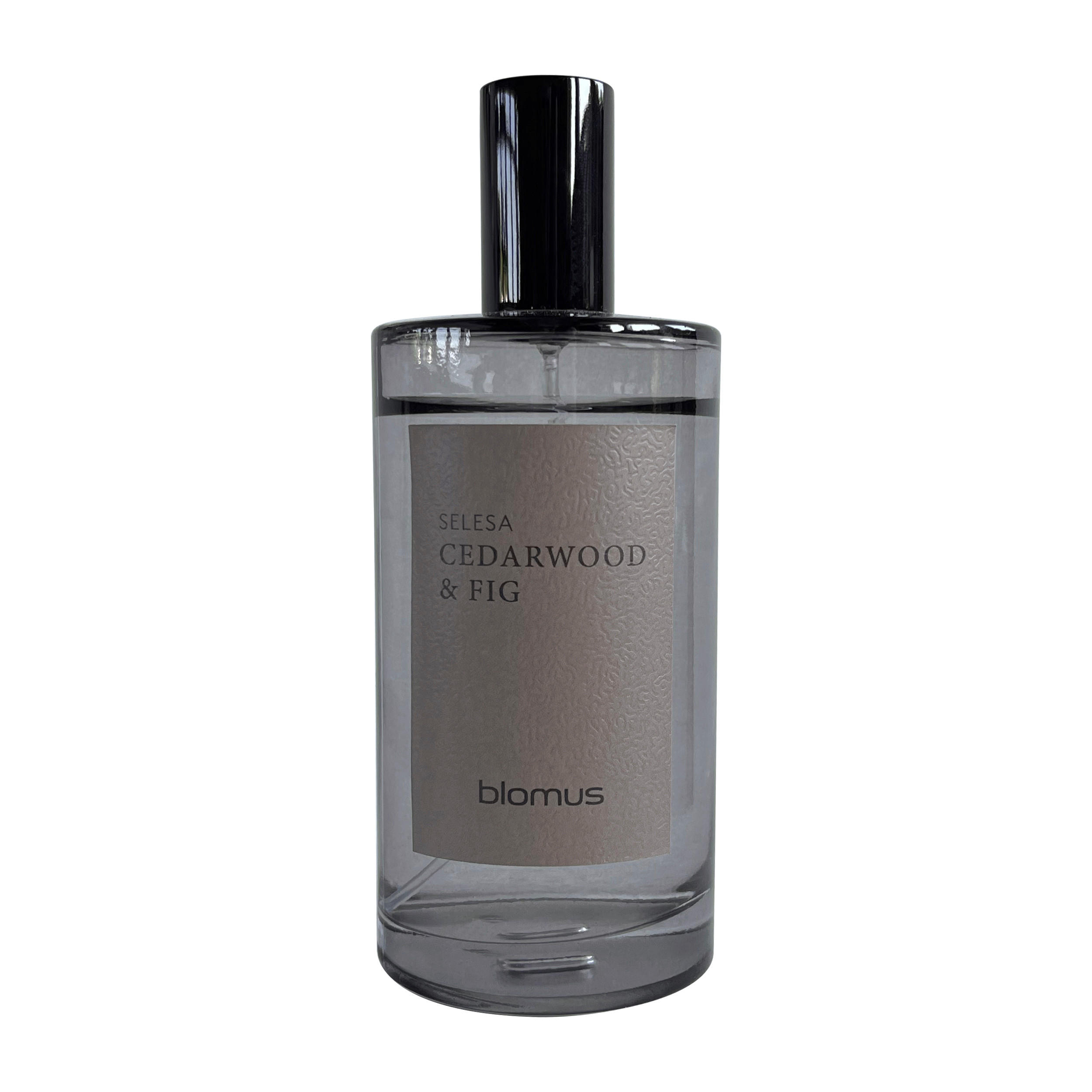 RAUMSPRAY SELESA  - Grau, Trend, Glas (5/13cm) - Blomus