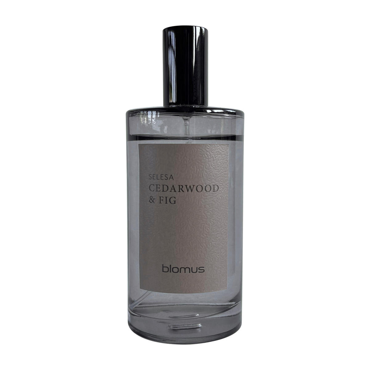 RAUMSPRAY SELESA  - Grau, Trend, Glas (5/13cm) - Blomus