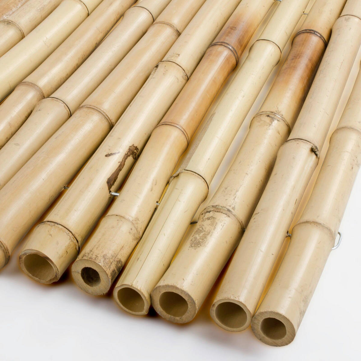 SICHTSCHUTZ - Basics (150/250cm) - Floordirekt