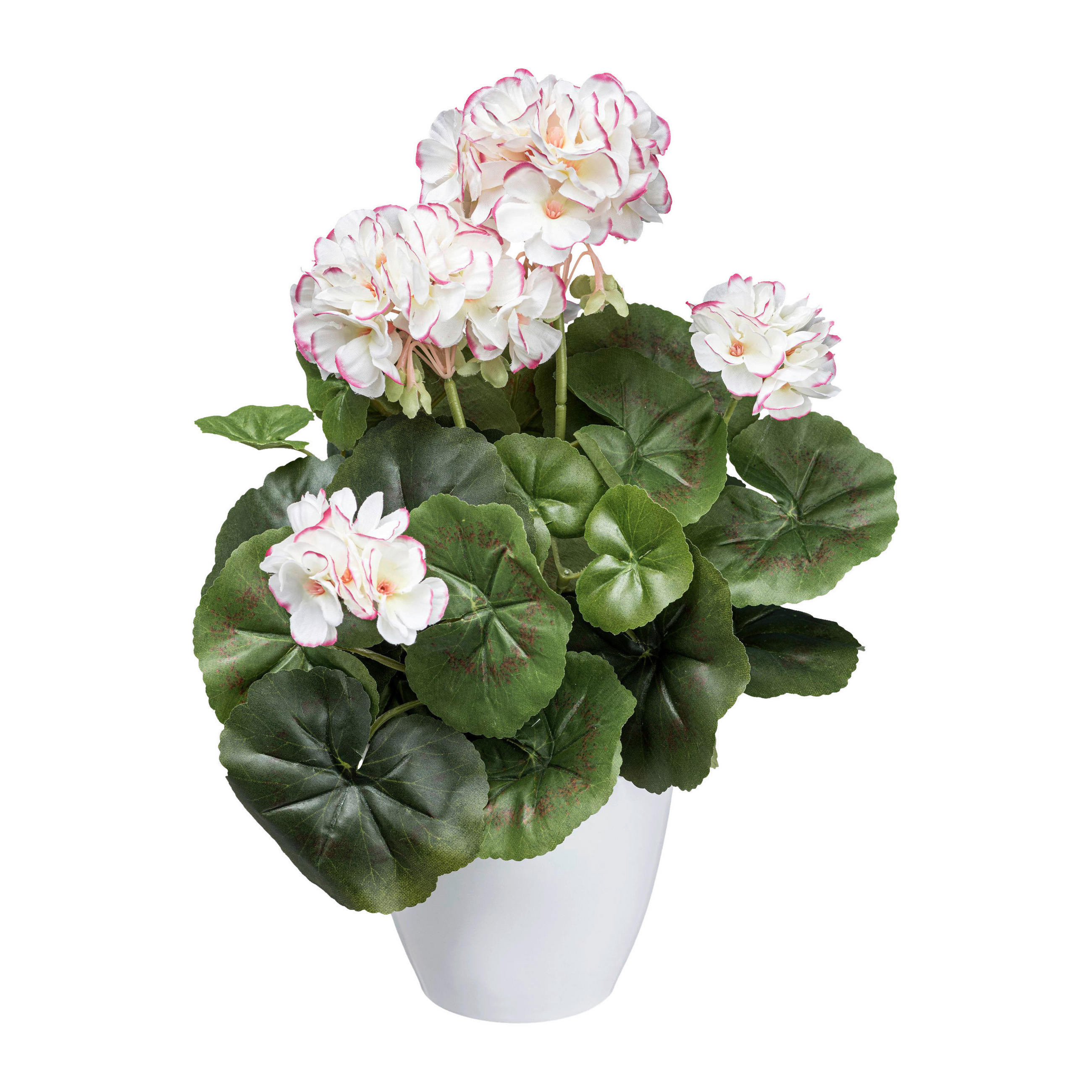 KUNSTPFLANZE Geranie 34 cm  - Rosa/Weiß, Design, Kunststoff (34cm) - P & B