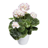KUNSTPFLANZE Geranie 34 cm  - Rosa/Weiß, Design, Kunststoff (34cm) - P & B