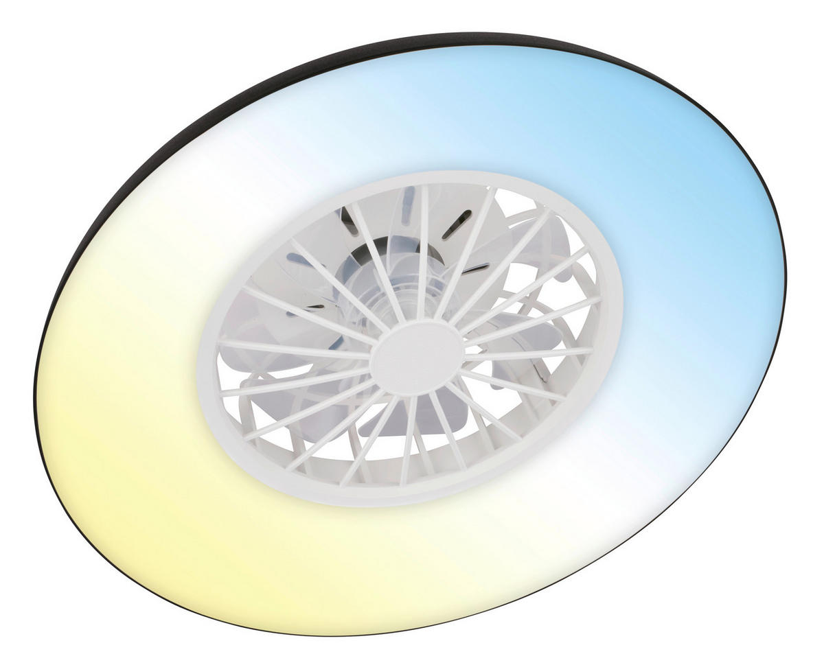 Deckenleuchte mit Ventilator 48,5/16 cm  - Schwarz/Weiß, Design, Kunststoff (48,5/16cm)