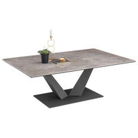 KLUB STOČIĆ  siva  - siva/antracit, Dizajnerski, metal/keramika (120/80/40cm) - Hom`in