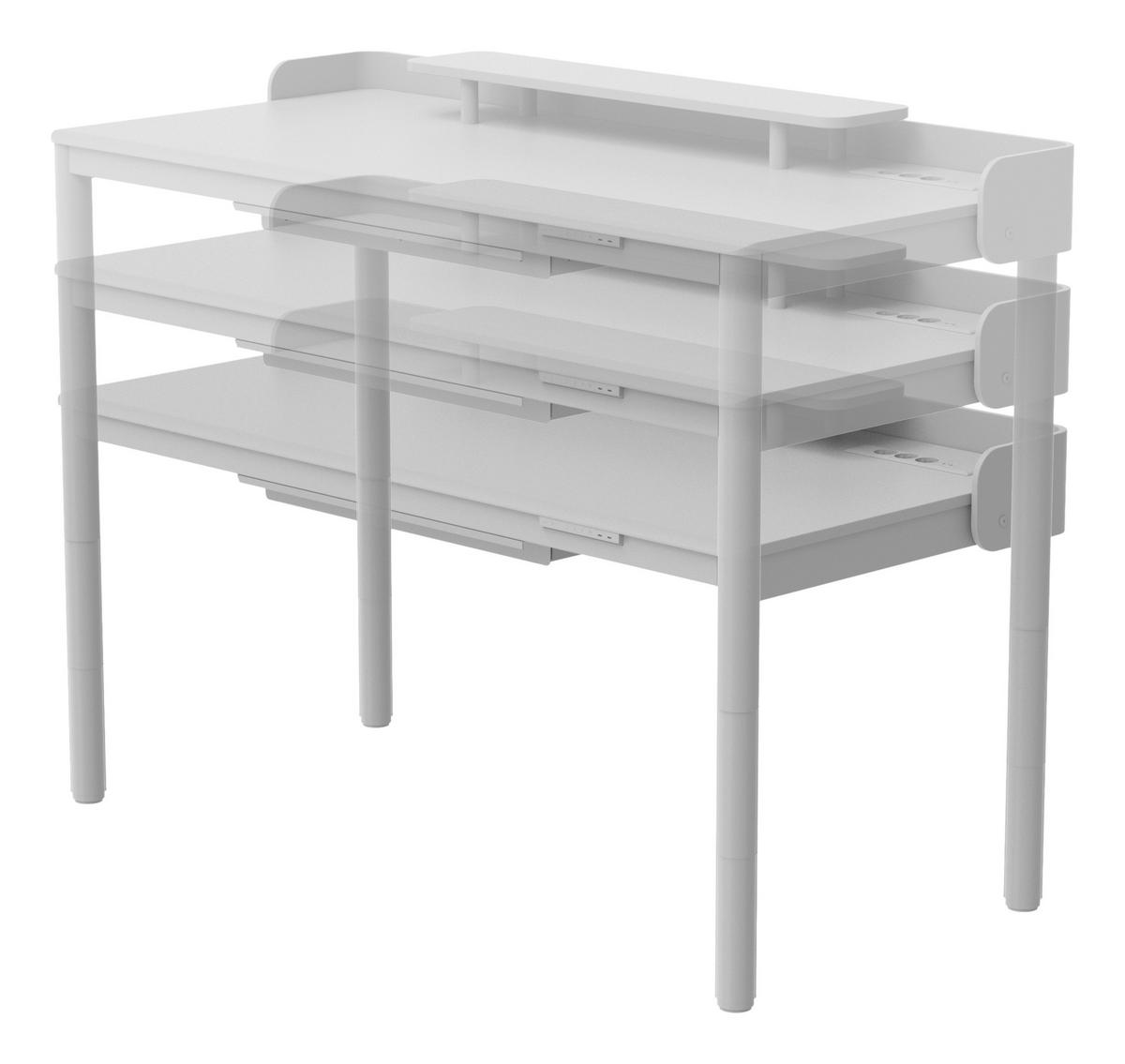 SCHREIBTISCH 160/76/72/117 cm Weiß, Nussbaumfarben elektrisch höhenverstellbar  - Nussbaumfarben/Weiß, Design, Holzwerkstoff/Kunststoff (160/76/72/117cm) - Novel