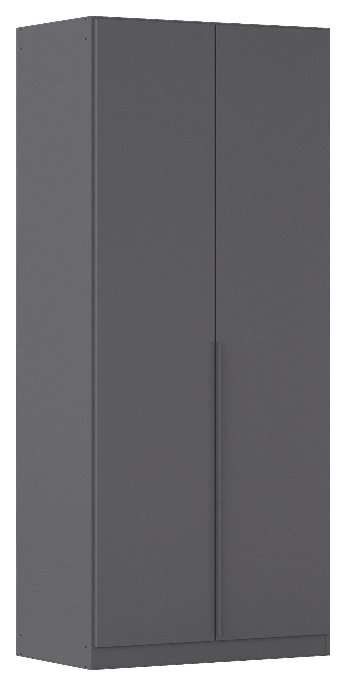 DREHTÜRENSCHRANK 91/229/54 cm,  in Grau, 2-türig  - Grau, MODERN, Holzwerkstoff/Metall (91/229/54cm) - Rauch Möbel