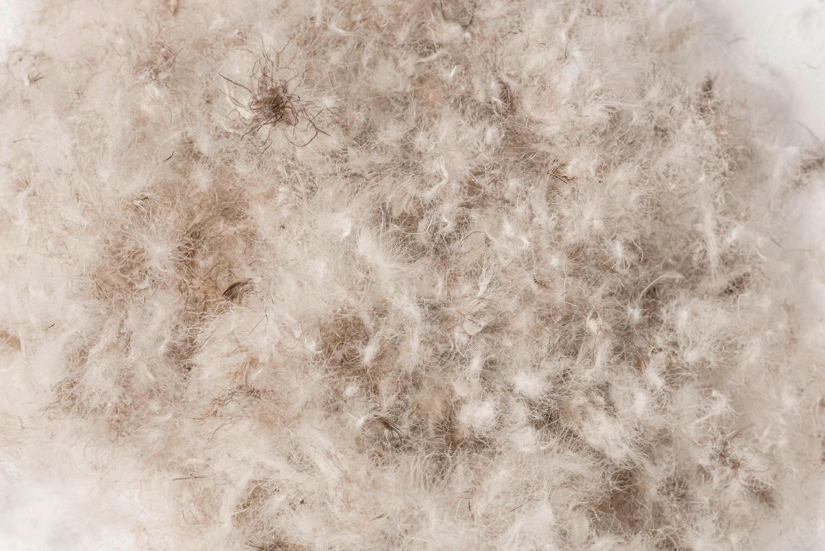 DAUNENDECKE 140/200 cm Alaska  - Weiß, Basics, Textil (140/200cm) - HEFEL