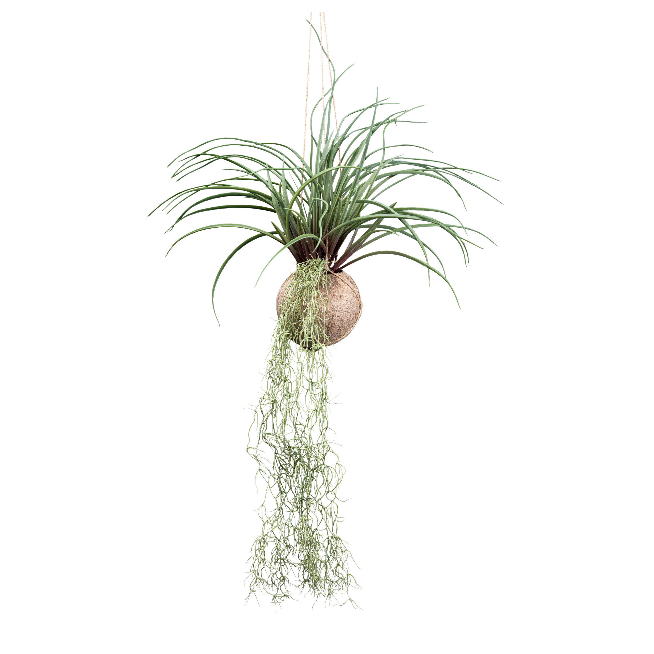 KUNSTPFLANZE 72 cm  - Grün, Design, Naturmaterialien/Kunststoff (72cm)