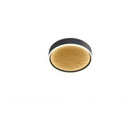 LED-DECKENLEUCHTE  40/7 cm    - Goldfarben/Schwarz, Design, Kunststoff/Metall (40/7cm) - Wofi