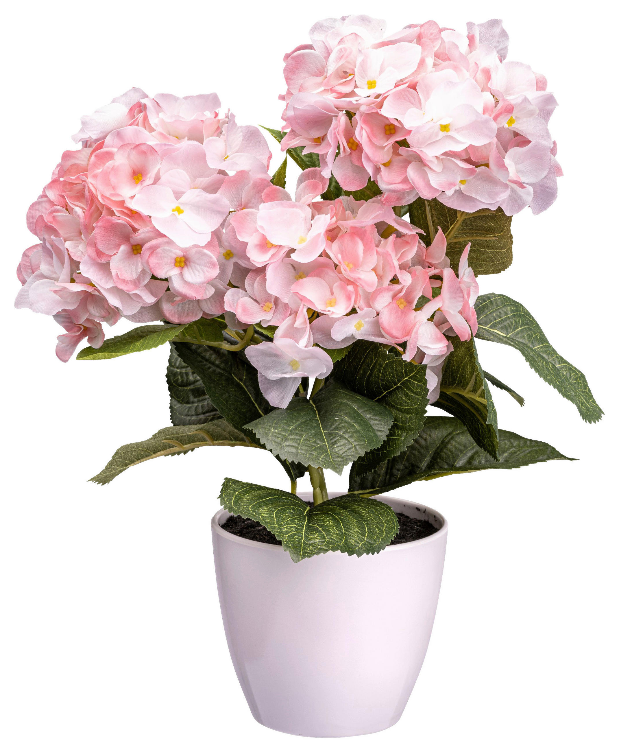 KUNSTPFLANZE Hortensie 32 cm  - Rosa/Grün, Design, Kunststoff (32cm) - P & B
