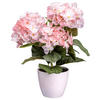 KUNSTPFLANZE Hortensie 32 cm  - Rosa/Grün, Design, Kunststoff (32cm) - P & B