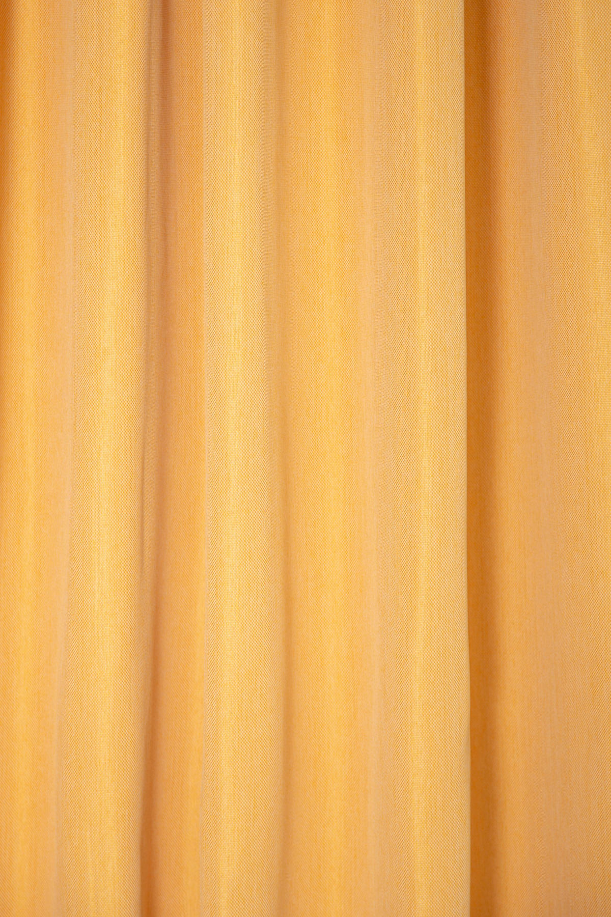 WÄRMESCHUTZVORHANG MILTON Verdunkelung 140/245 cm   - Dunkelgelb, Basics, Textil (140/245cm)