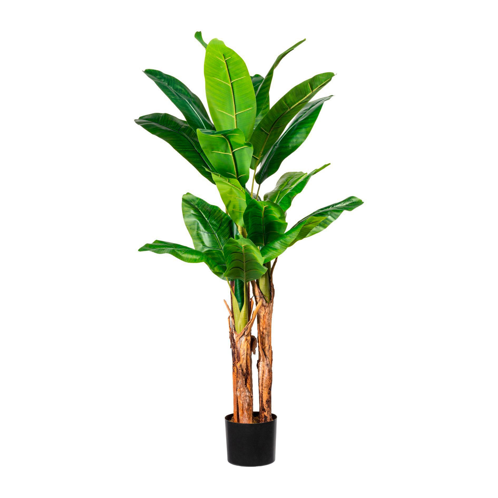 BANANENPFLANZE 150 cm  - Schwarz/Braun, Basics, Kunststoff (150cm)
