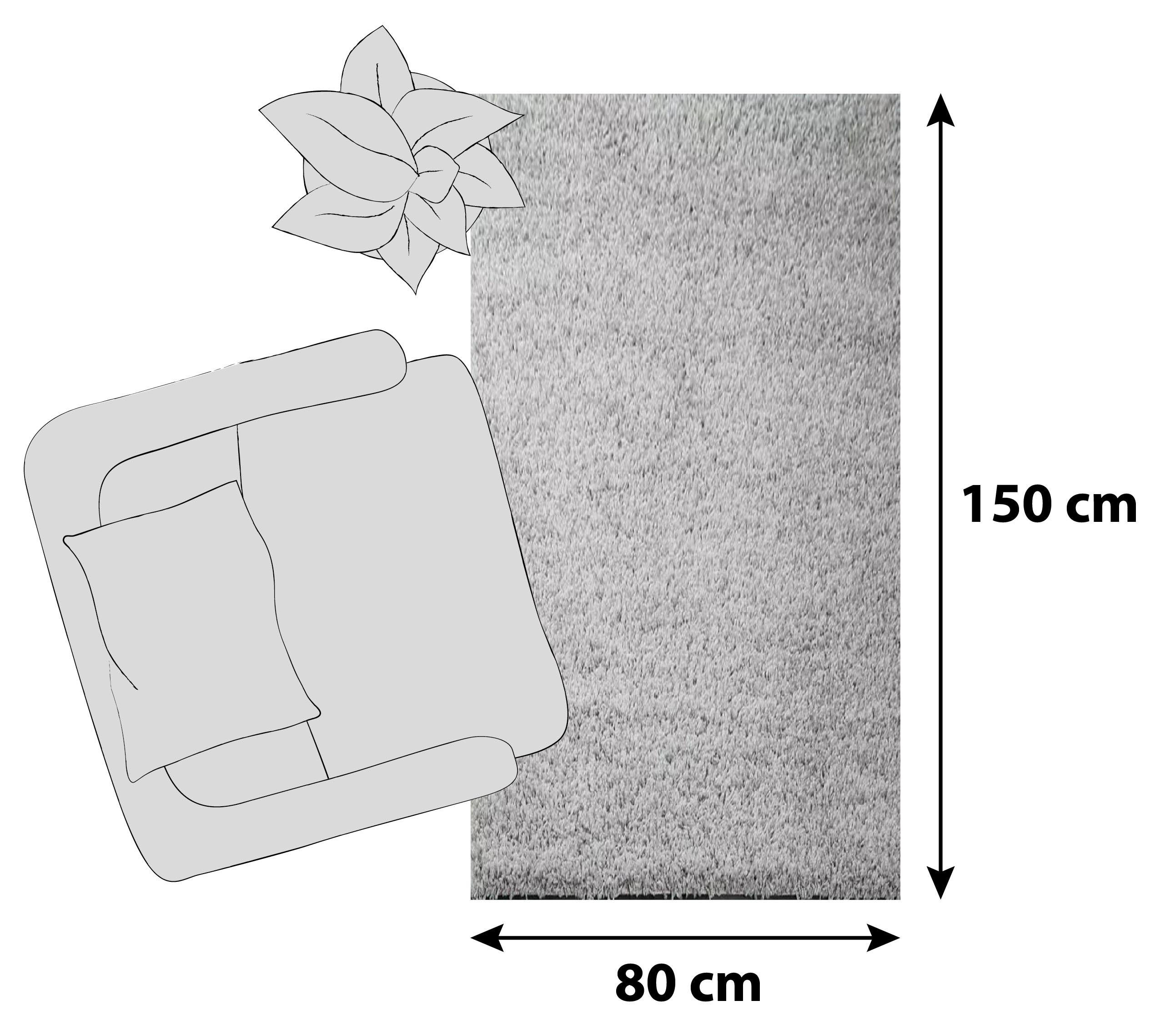 HOCHFLORTEPPICH 80/150 cm Grau  - Grau, MODERN, Textil (80/150cm)