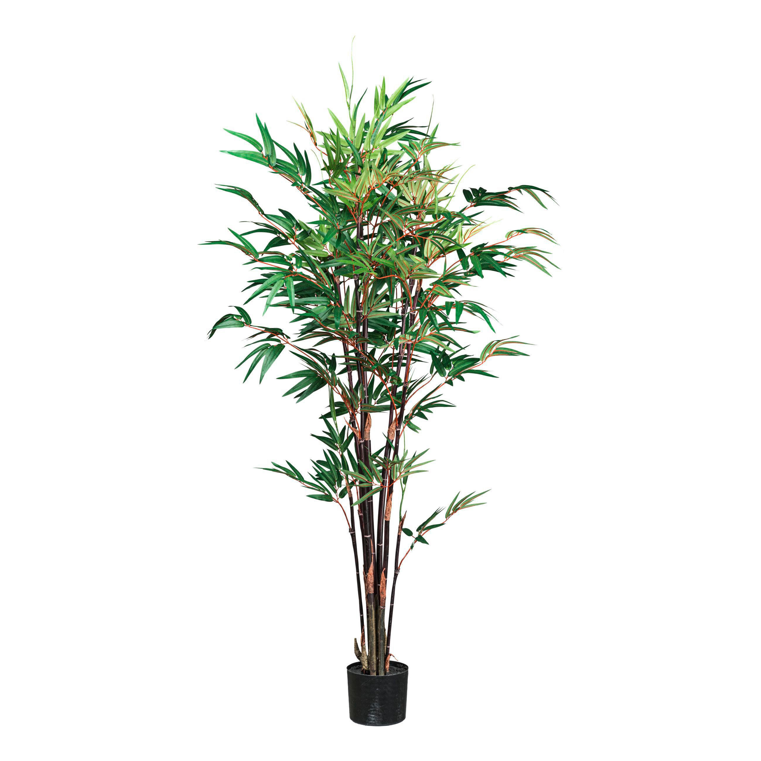 BAMBUS Bambus 160 cm - Rot/Braun, Design, Kunststoff (160cm)