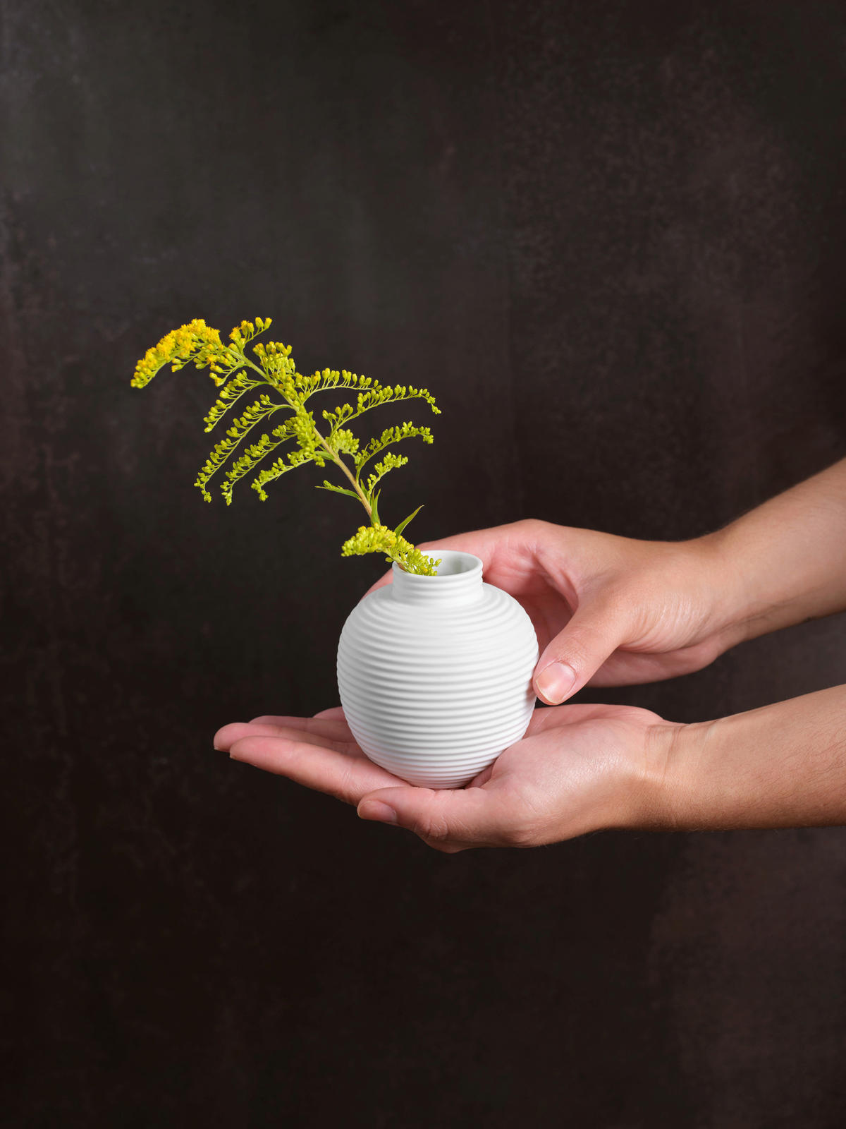 VASE 6.5 cm  - Weiß, Basics, Keramik (6,5/6,5cm) - ASA